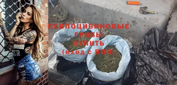 индика Великий Новгород