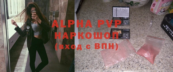 индика Великий Новгород