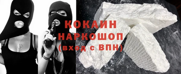 индика Великий Новгород