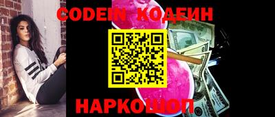 гашик Жуковский