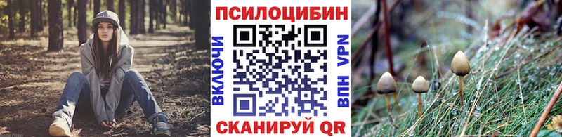 Галлюциногенные грибы Psilocybine cubensis  мега маркетплейс  Коряжма 