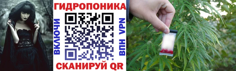 закладка  Коряжма  kraken ONION  Марихуана сатива 