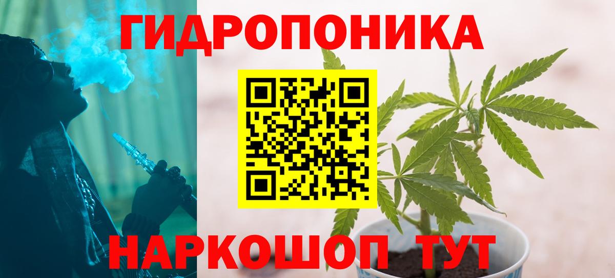 Бошки марихуана VHQ  Вход с VPN  Коряжма  Каннабис план  Шишки марихуана VHQ 