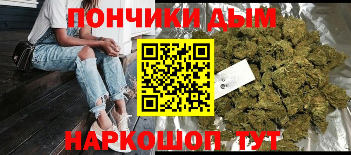 Бошки Шишки семена Коряжма